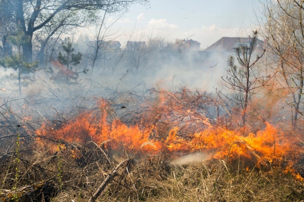 Photo for Grafton WV fire chief urges caution as spring burning restrictions begin