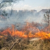 Photo for Grafton WV fire chief urges caution as spring burning restrictions begin
